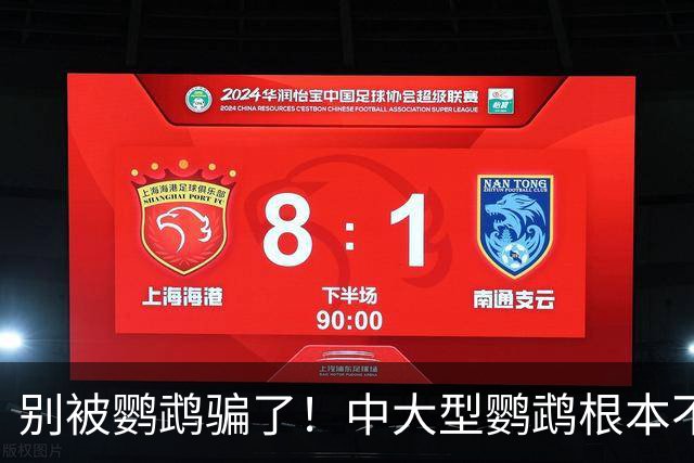 别被鹦鹉骗了！中大型鹦鹉根本不是宠物，是会飞的野生猛禽！