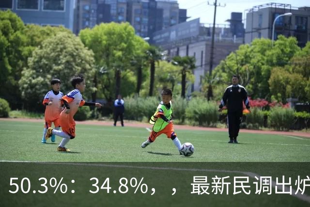 50.3%：34.8%，，最新民调出炉！郑丽文全力冲刺，吴子嘉可能成关键