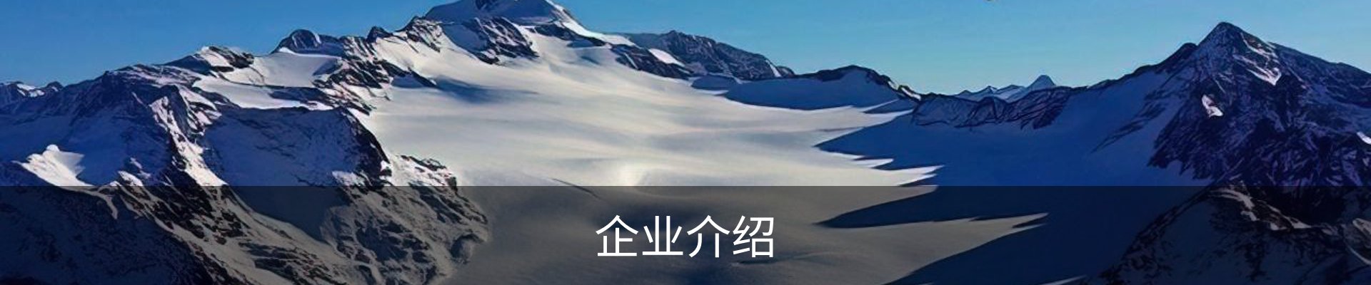 企业介绍
